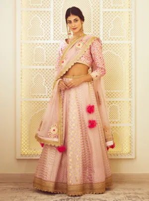 Light Pink Chanderi Lehenga Set
