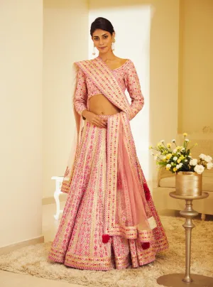 Light Pink Gota And Thread Lehenga Set