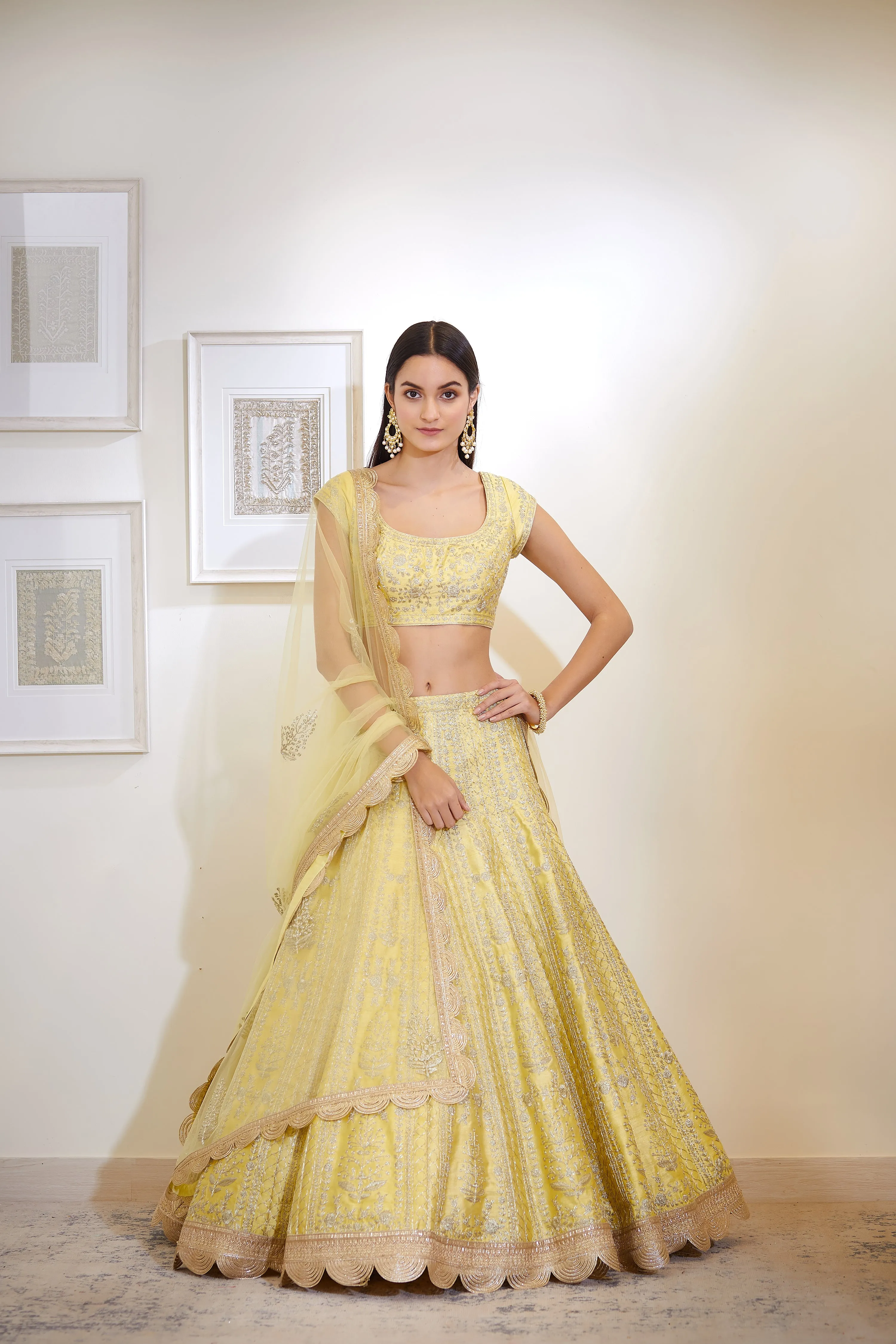 Light Yellow Embroidered Lehenga Set