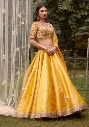 Mustard embroidered lehenga set