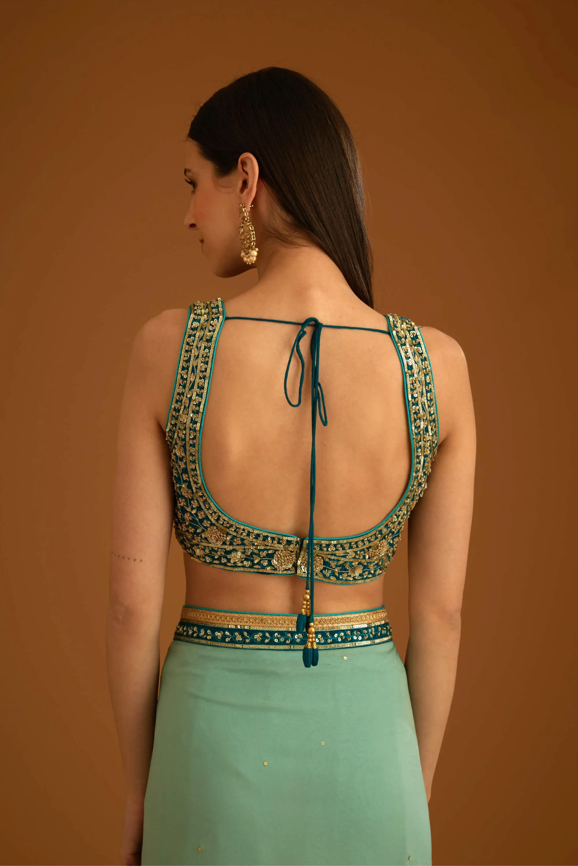 Opal green chiffon sari and blouse