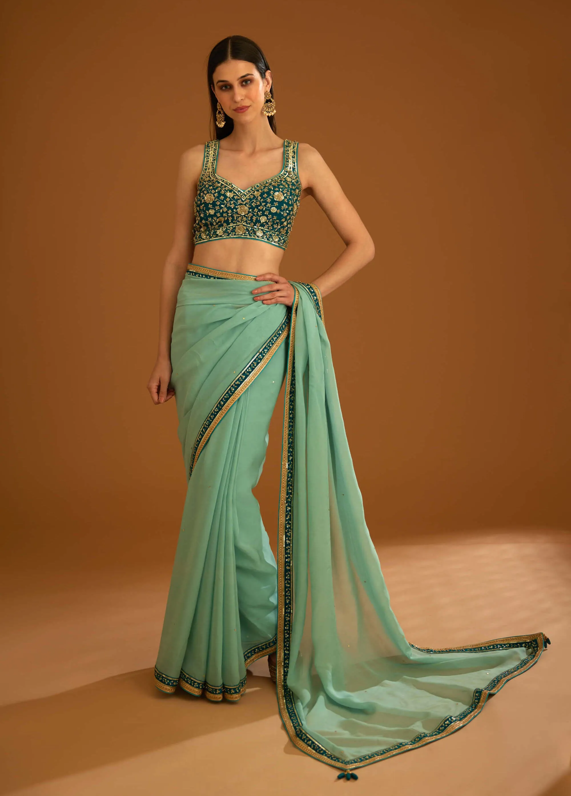 Opal green chiffon sari and blouse