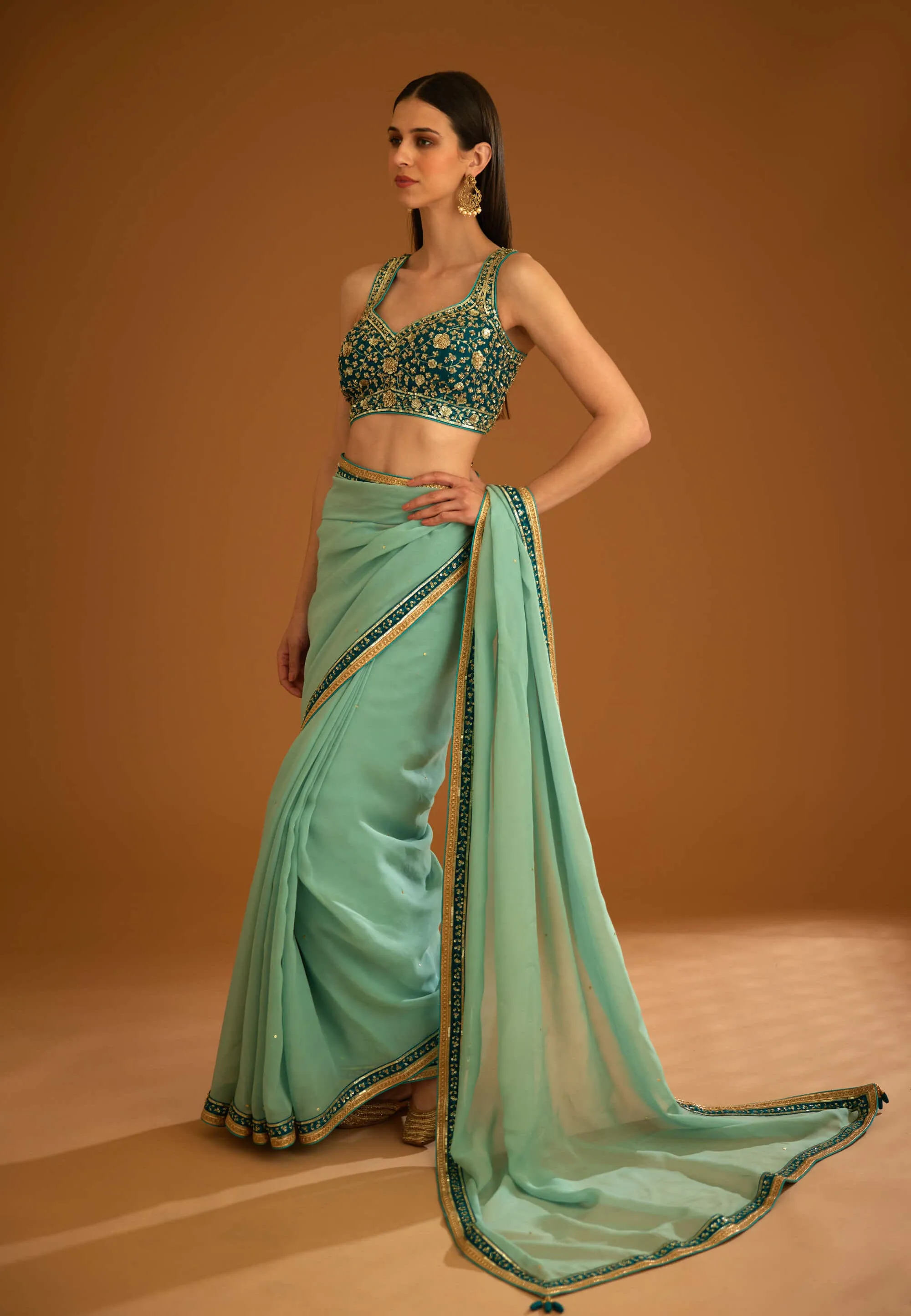 Opal green chiffon sari and blouse