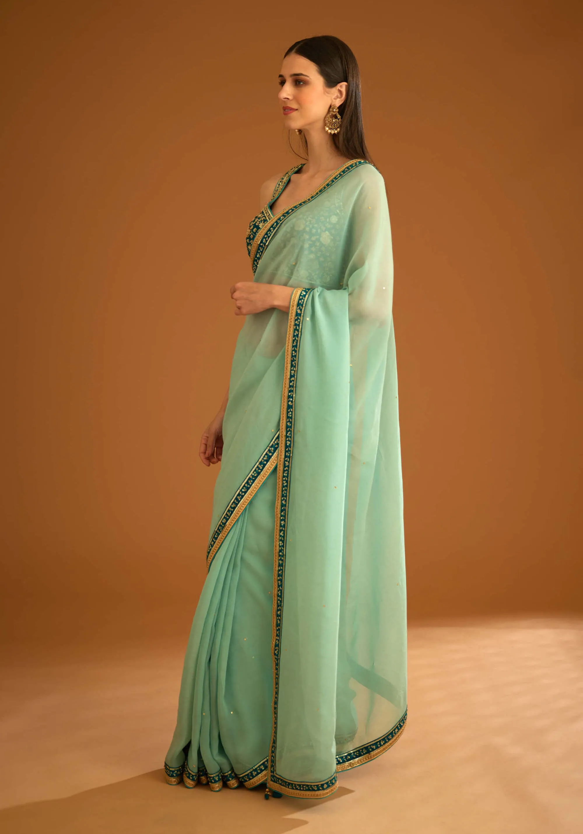 Opal green chiffon sari and blouse