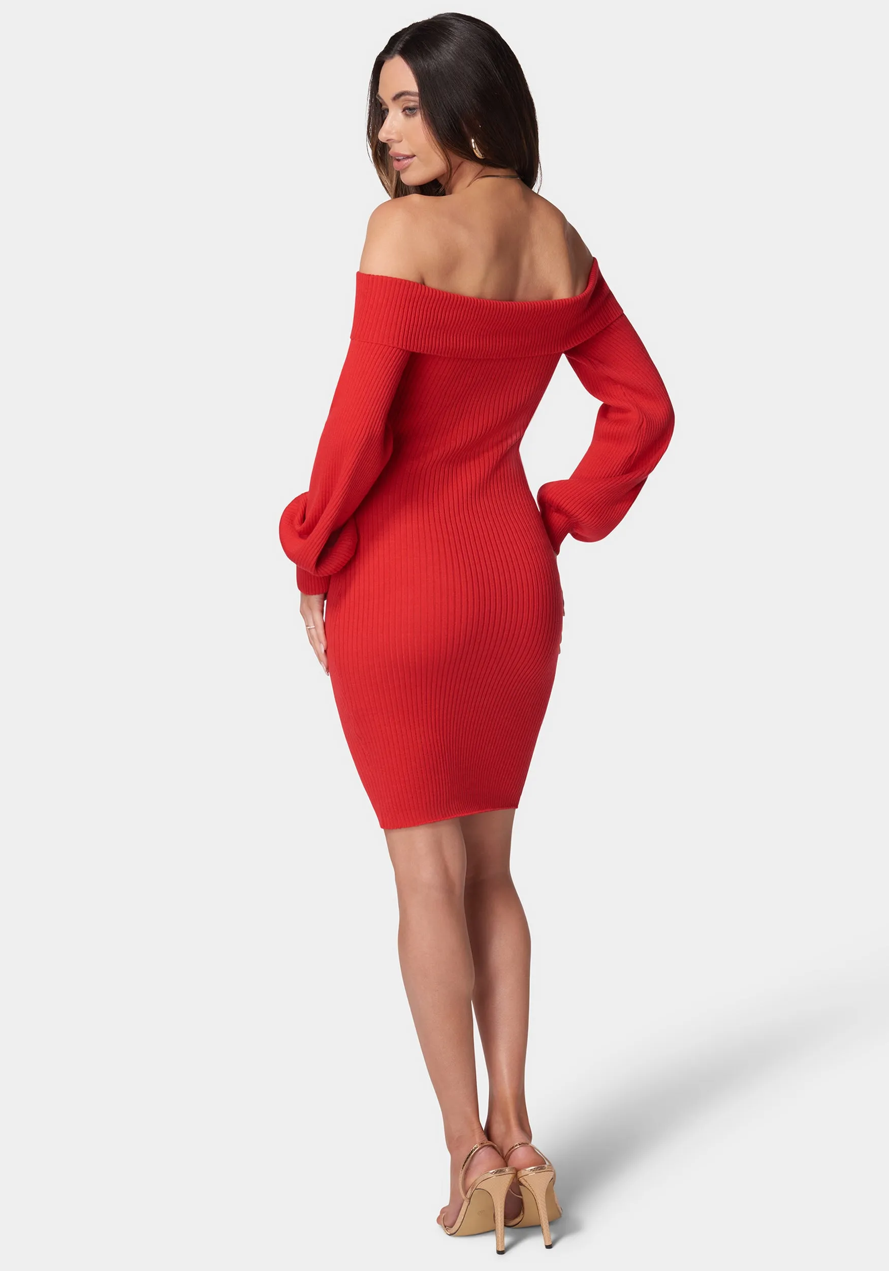 Overlay Balloon Sleeve Knit Dress