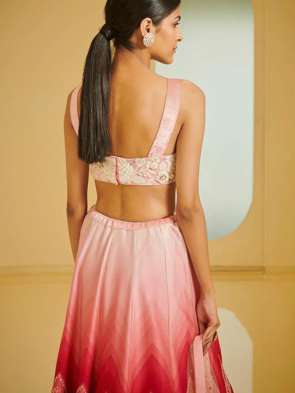 Pink Embroidered Highlighted Lehenga Set