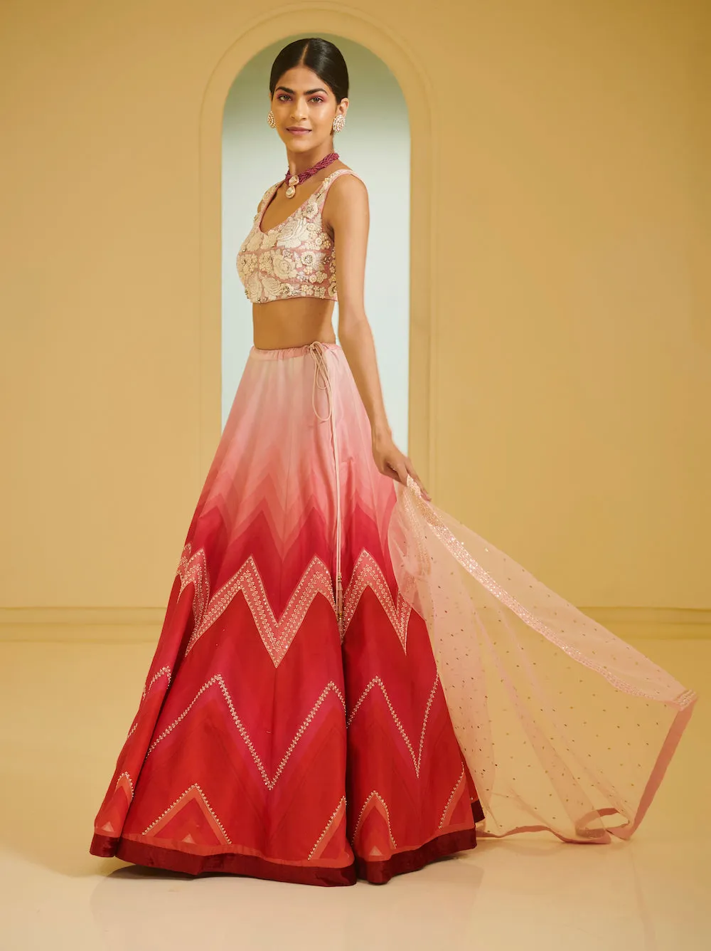 Pink Embroidered Highlighted Lehenga Set