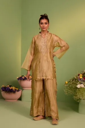 Thalia Tissue Kurta And Palazzo Set