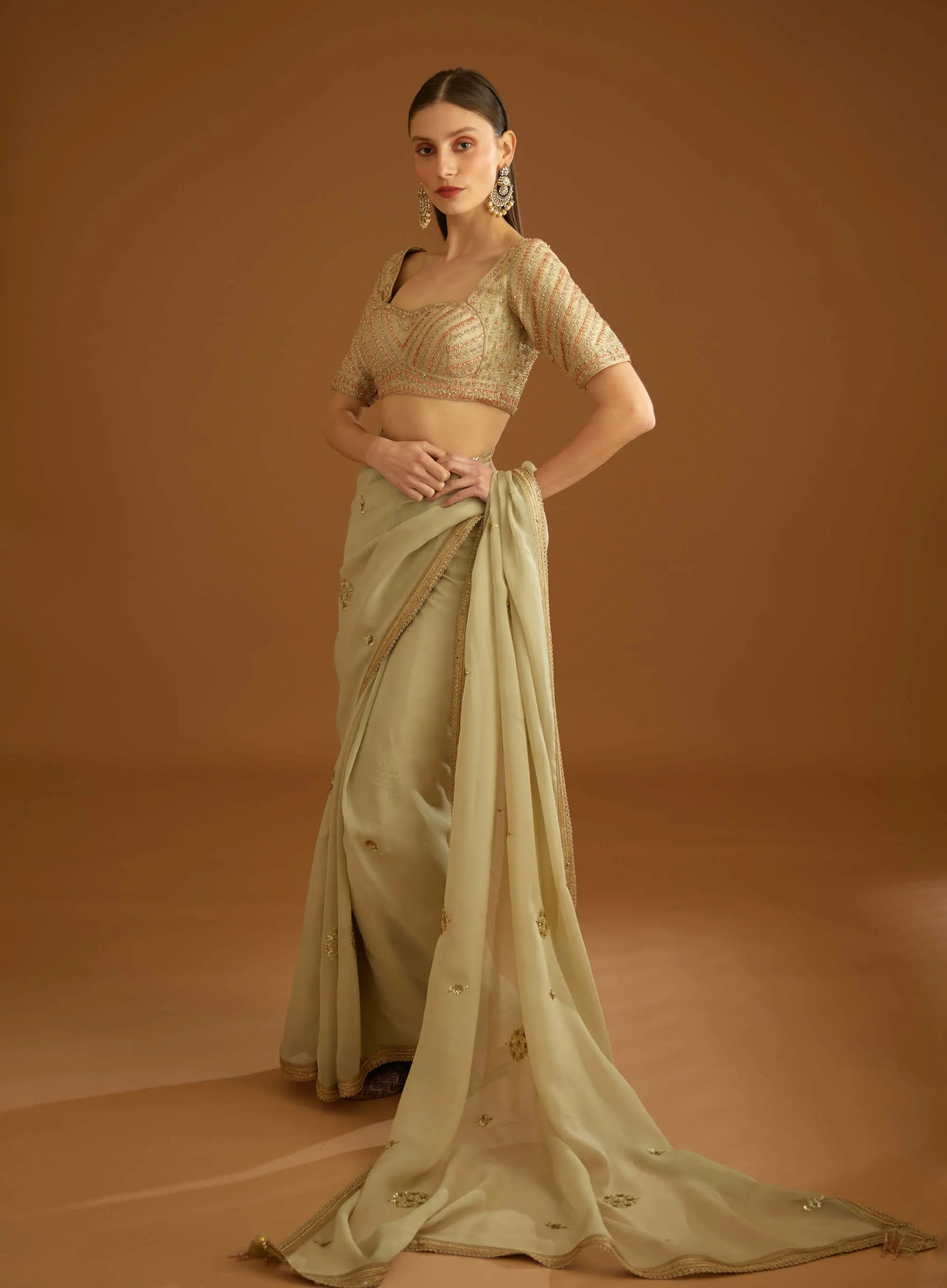 Whisper green zardozi sari and blouse